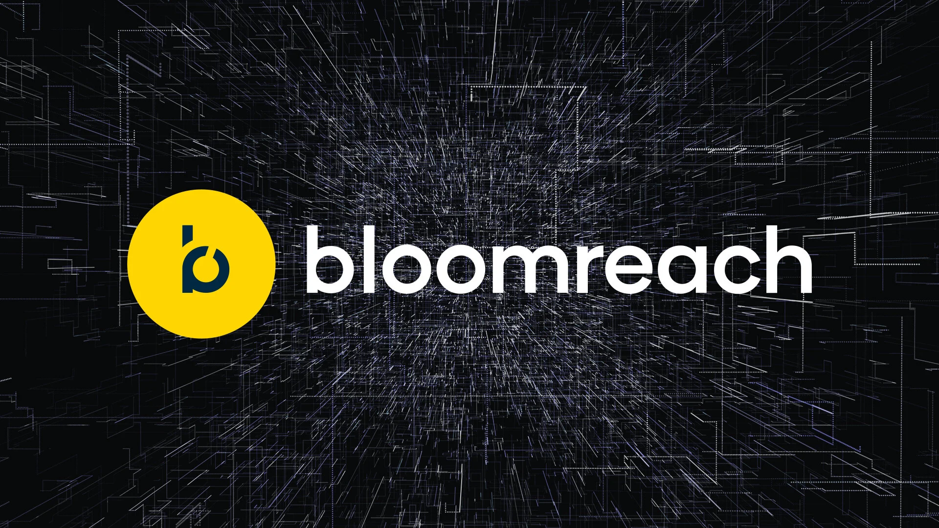 Bloomreach Partnership