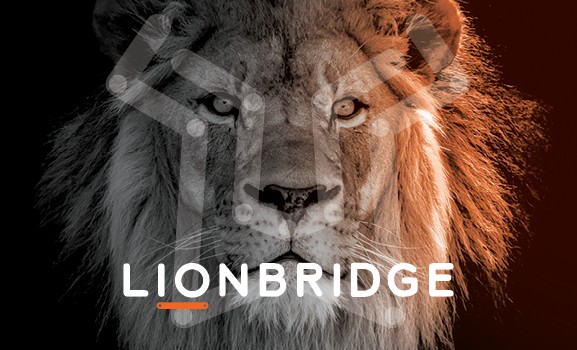 Lionbridge Partnership